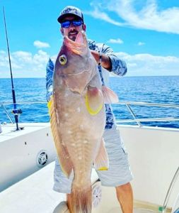Grouper Offshore Fishing Reeled In Florida
